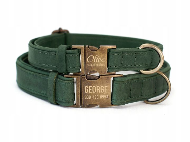 Grawerowana Obroża Dla Psa Skórzana Z Metalową Klamrą, Zielony Kolor