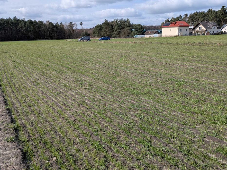 Działka budowlana 1000 m2 Woda Prąd Kan. Centawa k. Strzelec Opolskich