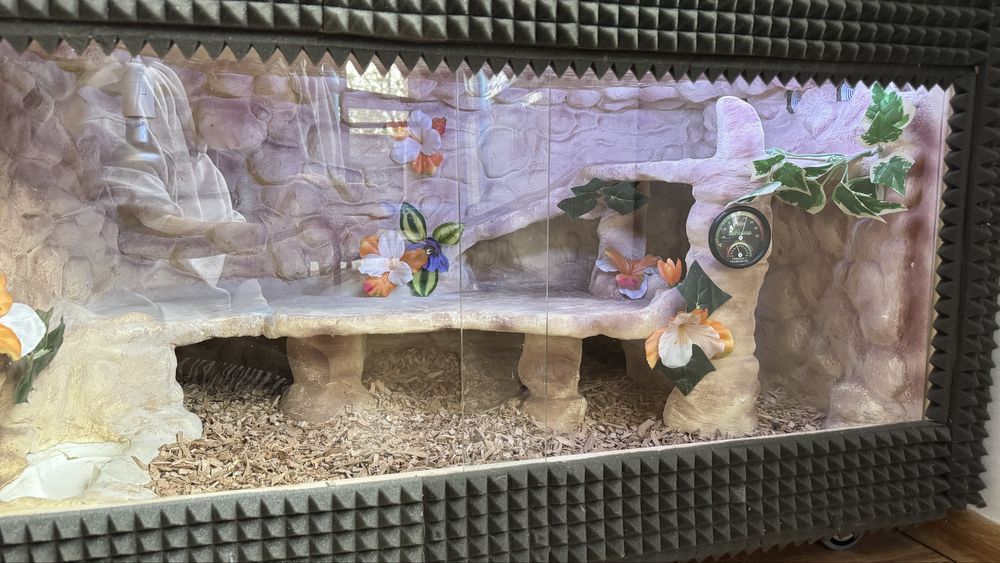 Terrarium 2w1 ręcznie wykonane