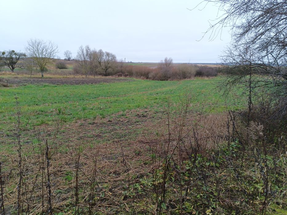 Земельний ділянка із спорудами