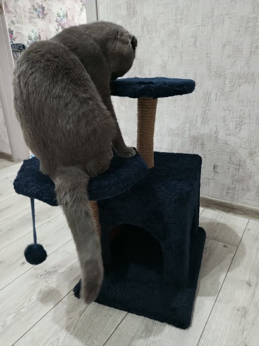 Продам дом для кота