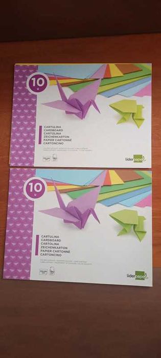 2 blocos de cartolina