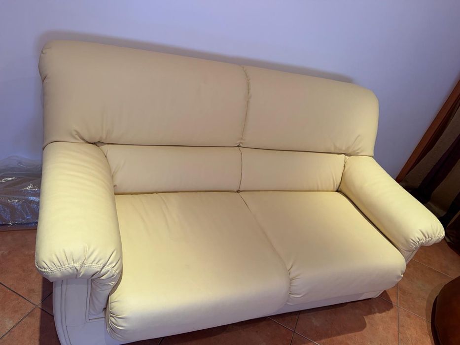 Sofas de sala em pele