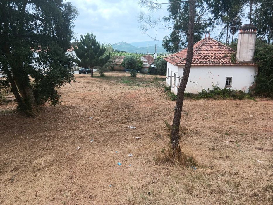 Casa antiga com terreno