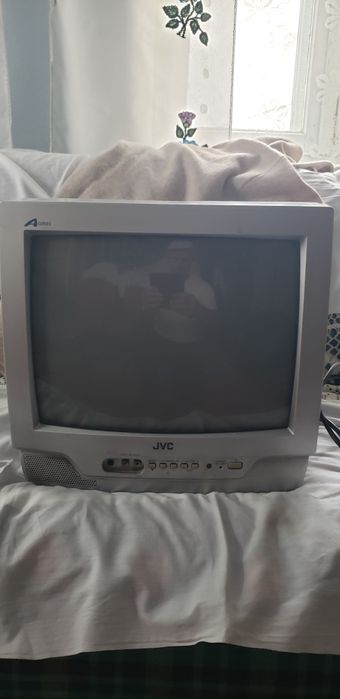 Телевізор JVC AV-14A10