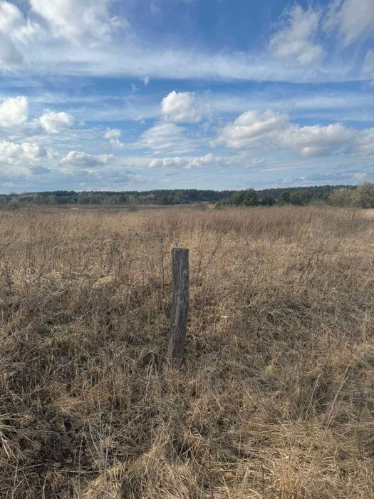 земельна ділянка 30 сот. с. Блищиводи