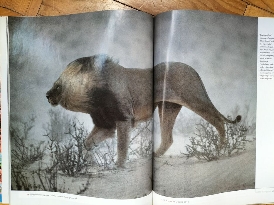 Revista Nacional Geographic 100 Melhores Imagens