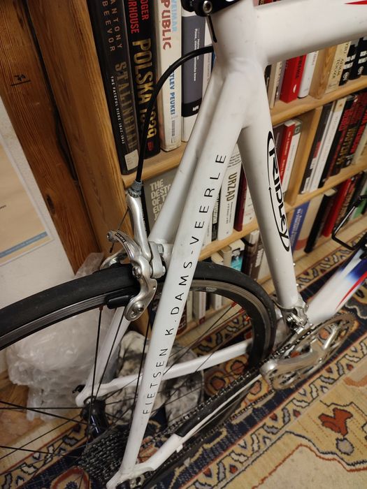 Rower Ridley Icarus, rama 58, osprzęt Campagnolo