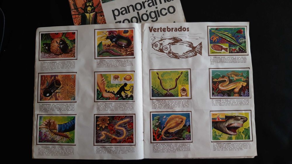 Caderneta de cromos Panorama Zoológico (1981)