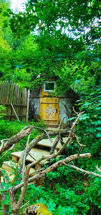 Здається  будиночок у лісі біля струмка. Подобово. Косівський район