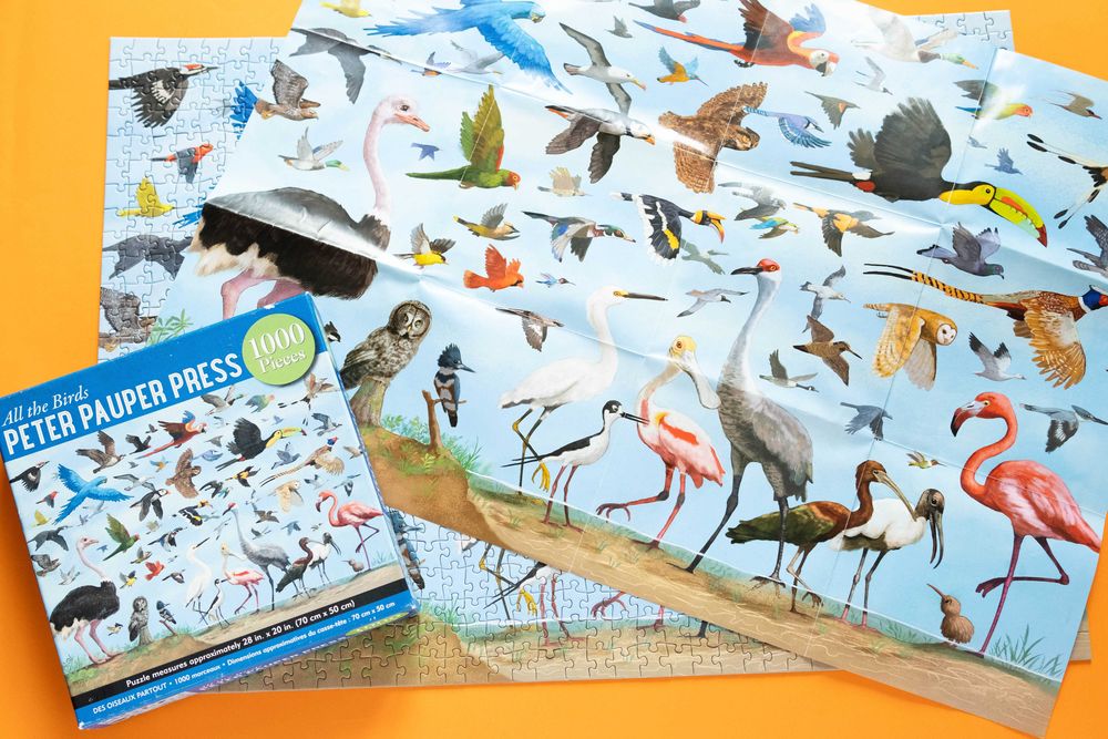 Puzzle Peter Pauper Press All the Birds 1000 el kompletne