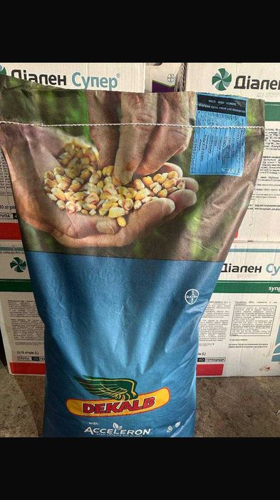 Кукурудза посівна  ФАО 250 -320