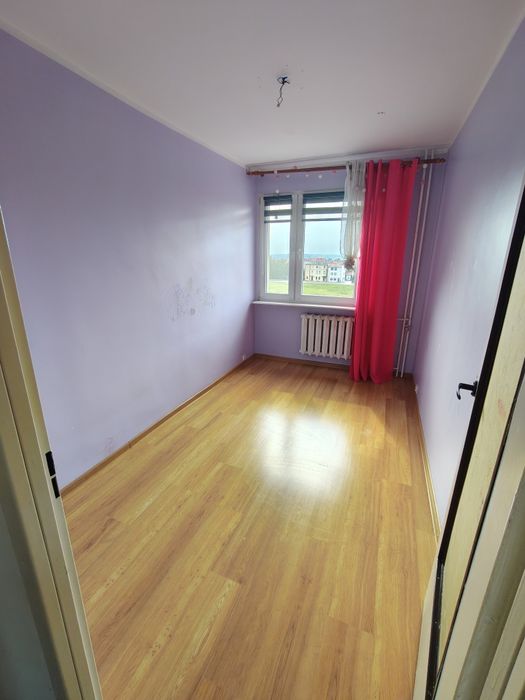Zdjęcie 6
