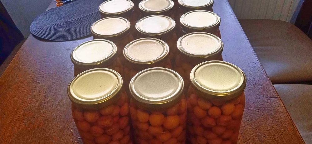 CZEREŚNIE POZNE KOMPOT 0,9L sloik 4sztuki z ekologicznego SADU 2024R