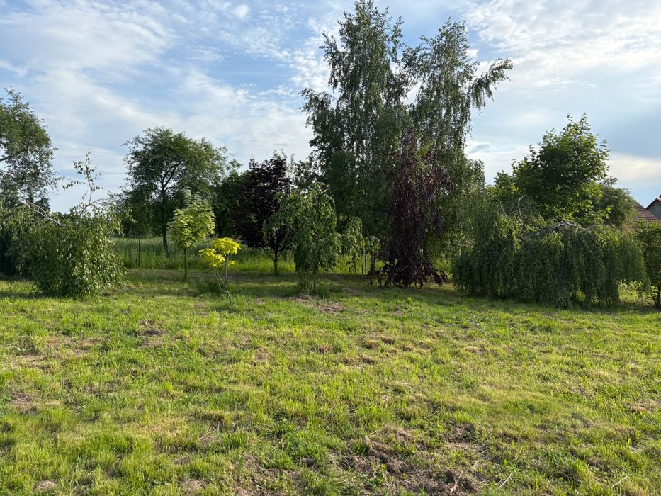 Kwaczała działka 4948 m²ogrodzona z mediami, garażem i ogrodem 5min a4