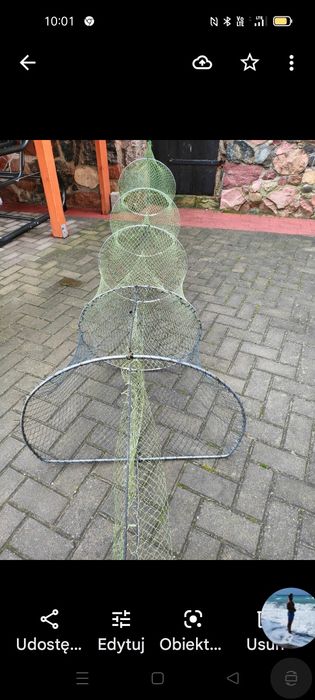 Żaki Ala mierorze