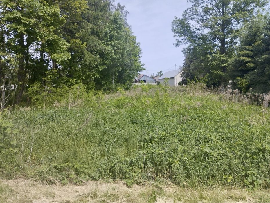 Dzialka 17,8 ara w Jeżowym