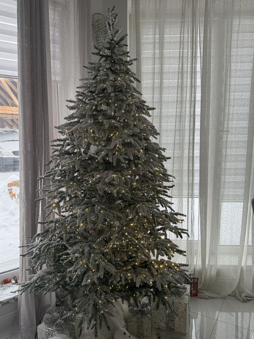 Ялинка лита Альпійська 2.1м