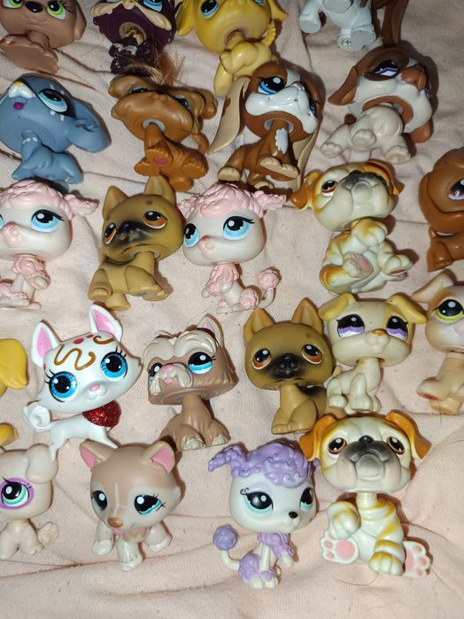 Little pet shop estáva  na montra antigos