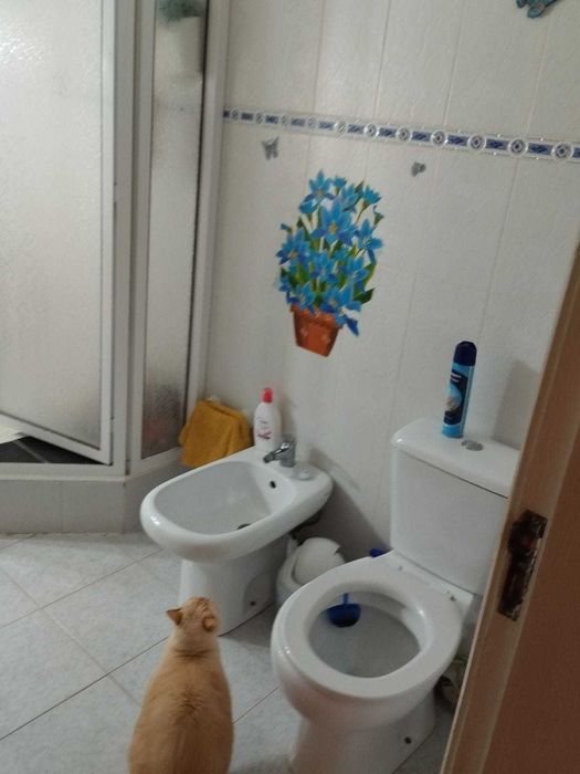 Apartamento T2 à Venda – 1.º Andar – Santiago Maior, Beja