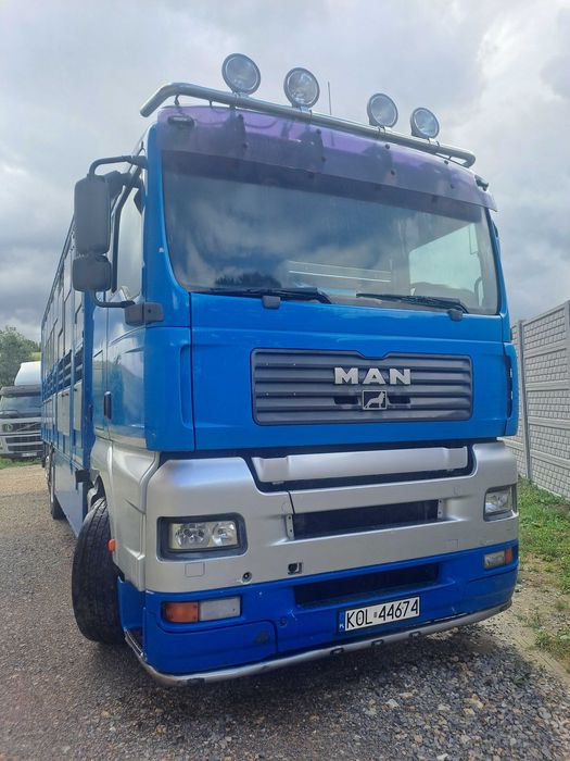 Man TGA 26.350 do żywca, zwierząt, bydła,koni,3 ośka solo