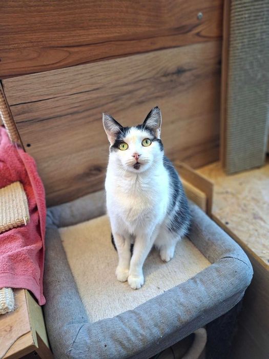 Na zawsze.. na dobre i na złe..