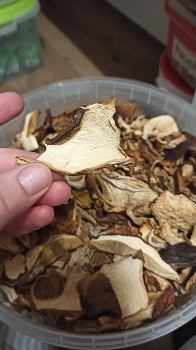 Білі сушені гриби