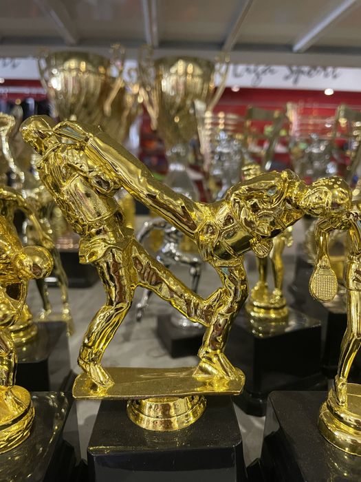 Призы , кубки, награды, нагороди