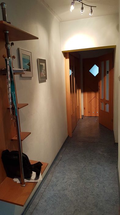 Wynajmę pokój w mieszkaniu studenckim