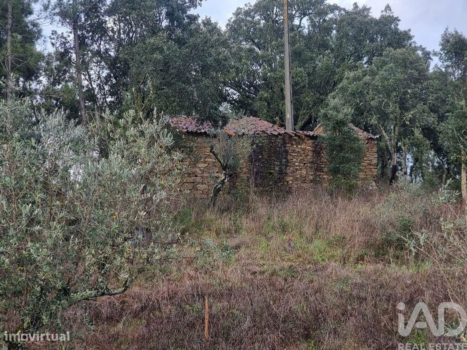 Moradia isolada T3 em Cernache do Bonjardim, Nesperal e Palhais de 202