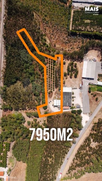 Terreno com 7950m2, perto das praias da Nazaré e São Martinho do Porto