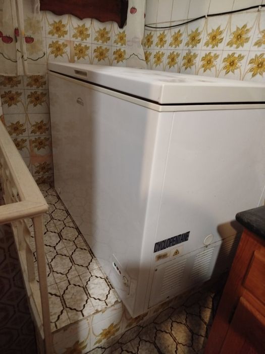 Arca congeladora Eletronia