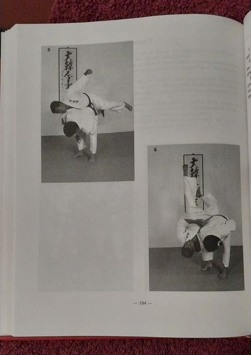 Книга - по боевым искусствам