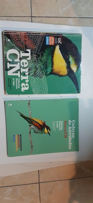 Livros escolares 8 ano