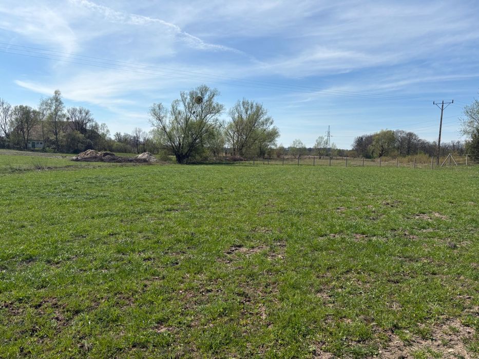 Siedlisko z działką 1,37 ha