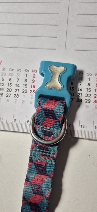 Obroża dla psa we wzory