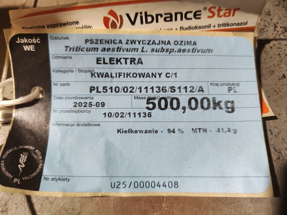 Pszenica ozima ELEKTRA po centrali