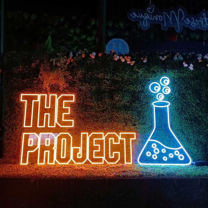 Letreiros Neon LED Personalizados – Decoração Moderna e Exclusiva