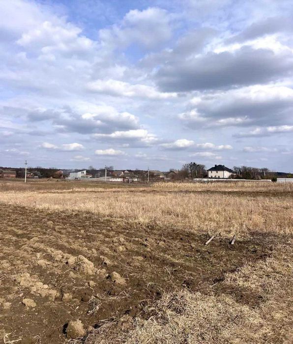 (5) Продам ділянку в Стрижавці 9793