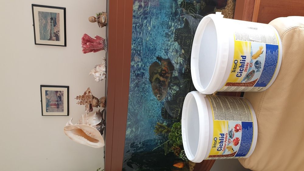 Cichlid  Colour  Pellets 100гр. 150грн
