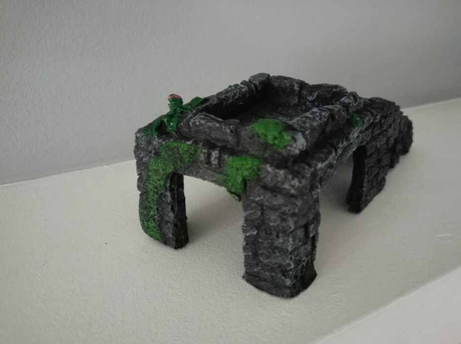 Duża wyspa dla żółwi