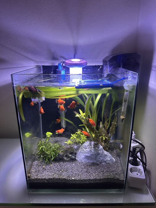 Cubo 30x30x35 cm completo