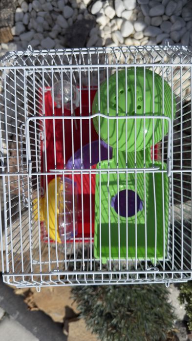 Клітка для гризунів