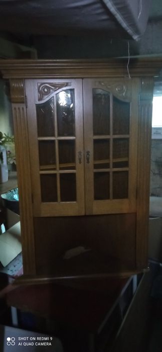 Słupek  dębowy rogowy