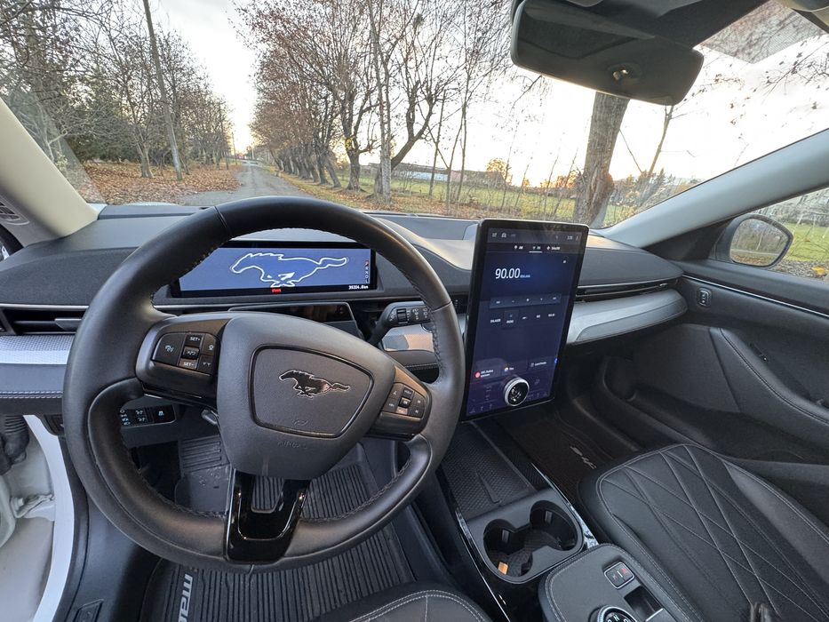 Ford Mustang Mach E 98.8