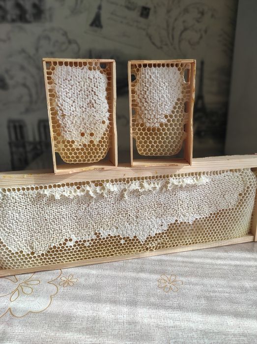 Мед акації лісової 2025 р