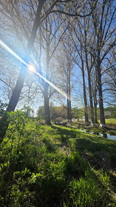 UNIKAT:  Działka nad jeziorem z bezposrednią linią brzegową  - wydana decyzja WZ _ Obra Wolsztyn - Widok 5