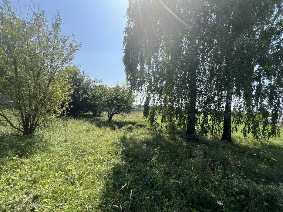 Ділянка в Сингурах, продаж