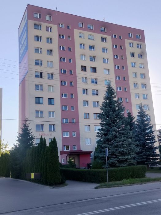 Zdjęcie 8