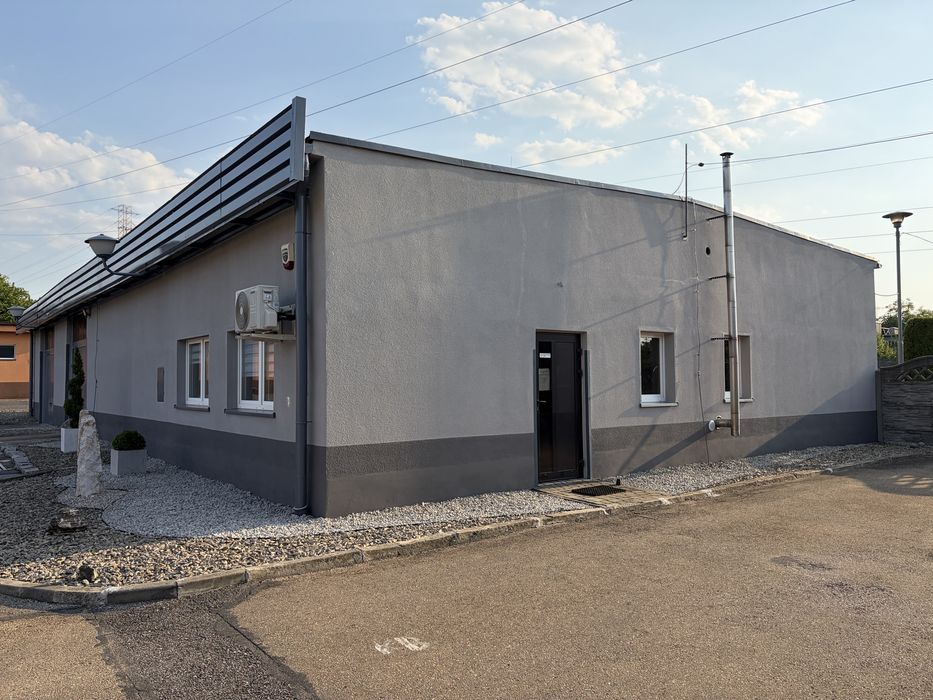 Zdjęcie 2